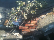 Roofing Services Lisburn Flat Roof 2