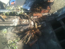 Roofing Services Lisburn Flat Roof 3